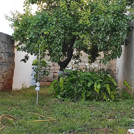 Dimora Collina 3 شقة سانيكولا