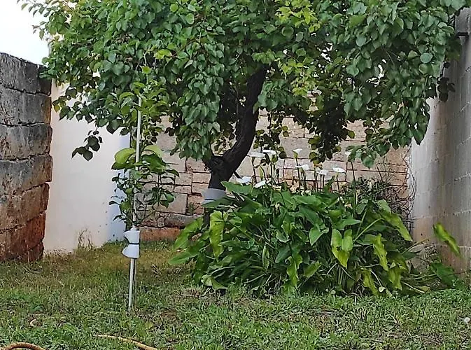 Dimora Collina 3 Apartment Sannicola